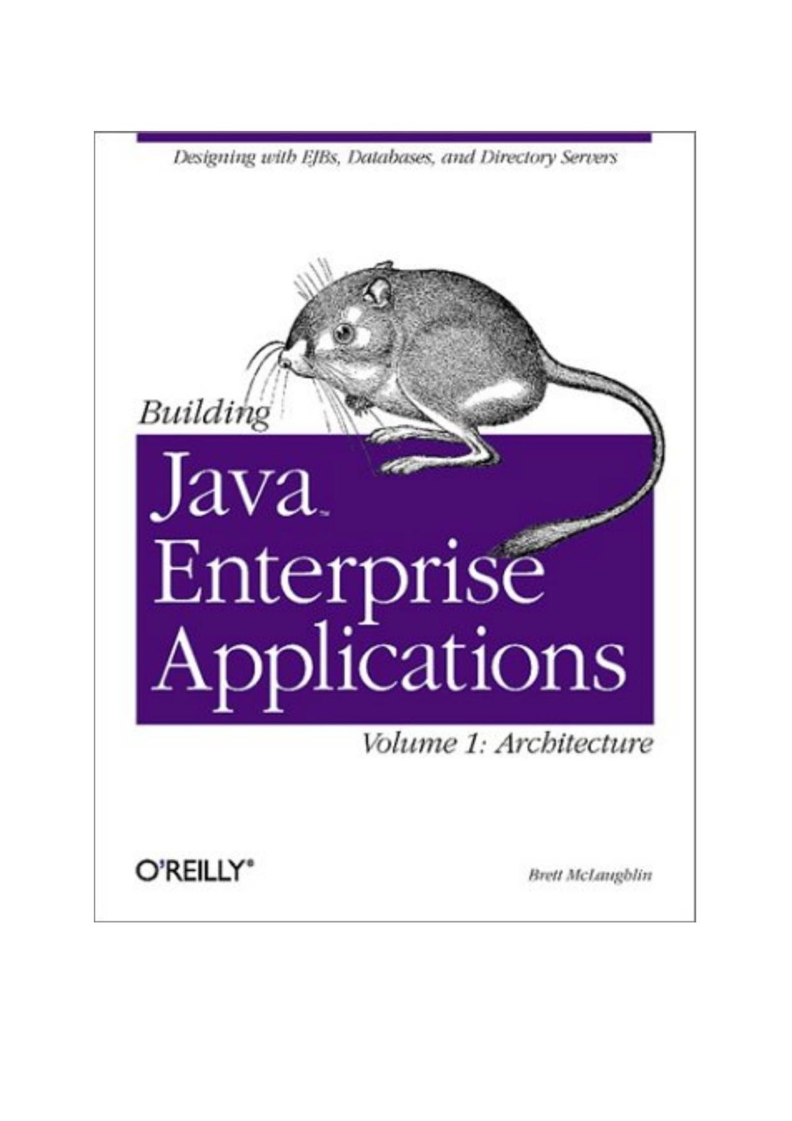 Building Java Enterprise Applications Volume I: Architecture
