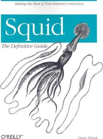 Squid: The Definitive Guide
