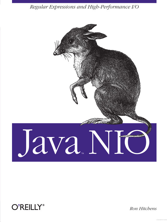 Java Nio